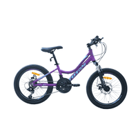 Totem - Bicicleta Mtb Aro 20 Modelo Elise Morado