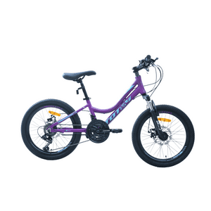 Bicicleta Totem Mtb Aro 20 Modelo Elise Morado