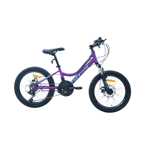 Totem - Bicicleta Mtb Aro 20 Modelo Elise Morado