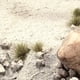 thumbnail image 2 of Ground Textures Vallejo Diorama FX, arena gris, 35 ml, 2 of 2