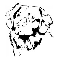 Rienda Libre Graphics - Decomural Golden Retriever Dog Ws-34697