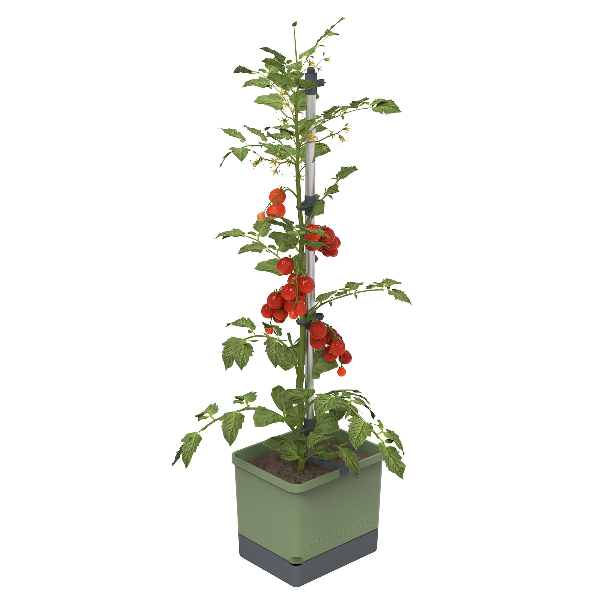 Plantadora Vertical De Tomates Buzzy Seeds Con Riego Automático Y Enrejado