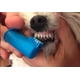 thumbnail image 5 of Cepillos Y Pasta De Dientes Para Mascotas Crema Dental Res, 5 of 5
