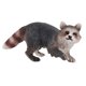 thumbnail image 3 of Realista Jungle Animal Raccoon Figuras Modelo Ni?os Ni?os Peque?os Juguetes Favores De Fiesta Caminar, 3 of 5
