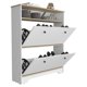 thumbnail image 4 of Comoda Zapatero 2 Puertas Fm-017b - Blanco Y Cafe Claro, 4 of 8