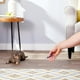 thumbnail image 3 of Juguete Kong Laser Puntero Con Llavero Para Gatos Y Perros, 3 of 5