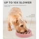 thumbnail image 3 of Comedero para perros Outward Hound Fun Feeder Slo Bowl, alimentador lento, rosa, 3 of 6