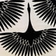 thumbnail image 4 of Cojín Plutus Brands Plutus Black Swan Black Animal, 4 of 4