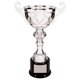 thumbnail image 1 of Trofeo Copa Decade Awards 33 cm con placa grabada plateada, 1 of 3