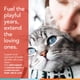 thumbnail image 5 of Suplemento De Vitaminas Y Antioxidantes Para Gatos Spectrin, 5 of 8