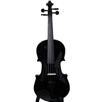 Violín Livorno Color Negro 1/2 Liv-27Bk