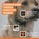 thumbnail image 5 of Remote Trainer SportDog SportTrainer 500 m impermeable naranja, 5 of 8