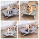 thumbnail image 2 of Cama Elevada PetsCool para Perros y Gatos, 2 of 5