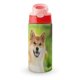 thumbnail image 1 of Shiba InuBotella de Agua con Tapa Pop Top de Un Toque, Acero Inoxidable, a Prueba de Fugas, para Deportes, Botella Infantil rosa 12 oz, 1 of 6