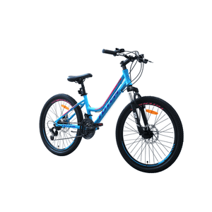 Totem - Bicicleta Mtb Aro 24 Modelo Sitara Celeste
