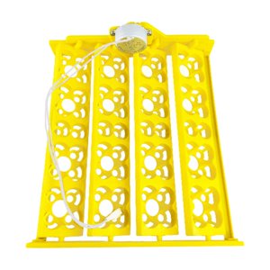 Ioensy - Bandeja Para Incubadora De Huevos, Accesorio Para Bandeja Giratoria Para Pollo, Codorniz, Ganso Ac12V