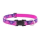 thumbnail image 1 of Collar Reflectante Para Perro De 2 5 Cm De Ancho Ajustable De 30 A 51 Cm, 1 of 4