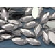 thumbnail image 4 of Diamantes de imitación acrílicos Allstarco Navette, 15 x 7 mm, 125 unidades, 4 of 9