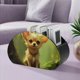 thumbnail image 5 of Chihuahua Organizador Soporte para Controles Remotos, 5 of 6