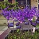 thumbnail image 2 of 2pcs/3pcs/4pcs Solar Outdoor Lights, Waterproof Garden Light For Outdoor Decor, Solar Powered Landscape Lights For Patio Yard Backyard Walkway Lawn Decoration, Pathway Flower Stake Lights, Lavender, 2 of 3