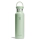 thumbnail image 1 of Botella de agua Hydro Flask Standard Flex Cap 620 ml - Aloe, 1 of 6