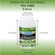 thumbnail image 3 of Bálsamo labial Chap-Ice Mini 50 unidades SPF-15 3 sabores, 3 of 9