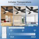 thumbnail image 2 of Ventilador Techo POCHFAN 52 Pulgadas Negro LED Control Remoto, 2 of 3