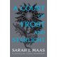 thumbnail image 1 of Libro Bloomsbury – A Court of Frost and Starlight 4, 1 of 1