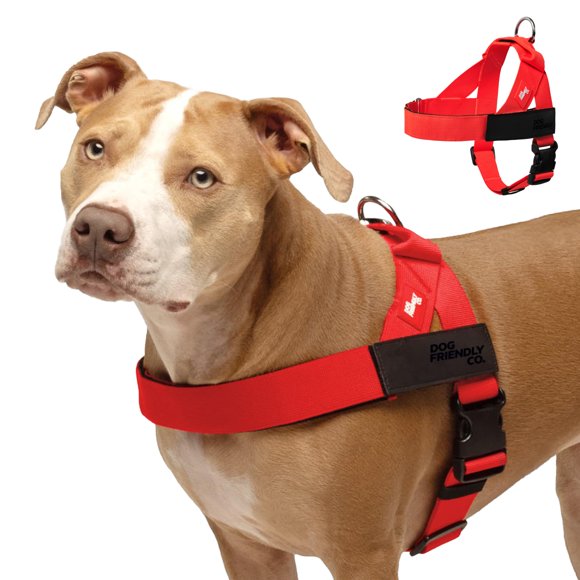 Arnés para perro Dog Friendly Co Extra Grande Rojo