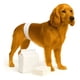 thumbnail image 1 of 60 Pañales Perros Desechables Incontinencia Comodo Gato S Blanco Macho S 42x17 Cm, 1 of 12