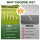 thumbnail image 4 of Tees de golf Guirnd 150 piezas de bambú biodegradable de 2.75 pulgadas, 4 of 7