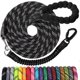 thumbnail image 1 of Correa Reflectante Bungee para Perro Jenico, 1 of 3