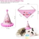 thumbnail image 2 of Bufanda de feliz cumpleaños para mascota, gato, perro y lindo sombrero de fiesta, sombrero de cumpleaños para niña y niño, conjunto de disfraces de fiesta de cumpleaños para mascota, 2 of 5