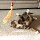 thumbnail image 3 of Juguete Varita Gato Vibrant Life Loro Catnip 46cm Multicolor, 3 of 3