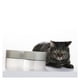 thumbnail image 5 of Pidan® Bowl Para Mascotas Tamaño S Verde  Acero Inoxidable, 5 of 6