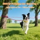 thumbnail image 5 of Correa Para Perros De 25 Pies Correa Larga Para Perros Al Aire Libre Cable De Amarre Para Perros Línea Para Camping Sujeción Para El Patio Línea (rojo), 5 of 7