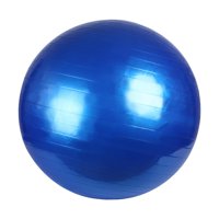 Ioensy - Yoga Core Ball Antideslizante Bola De Equilibrio Espesada Para Gimnasio En Casa Gimnasia 75Cm Azul