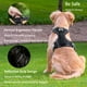 thumbnail image 2 of Arnés para perros Funfox, tamaño mediano, ajustable, negro, 2 of 3