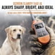 thumbnail image 2 of Remote Trainer SportDog SportTrainer 1275 impermeable para 6 perros, 2 of 8
