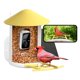 thumbnail image 1 of Comedero Inteligente para Pájaros NETVUE con Cámara Inalámbrica 2MP y Energía Solar, 1 of 9