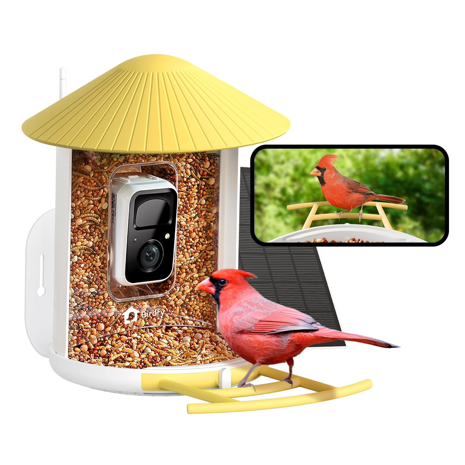 Comedero Inteligente para Pájaros NETVUE con Cámara Inalámbrica 2MP y Energía Solar