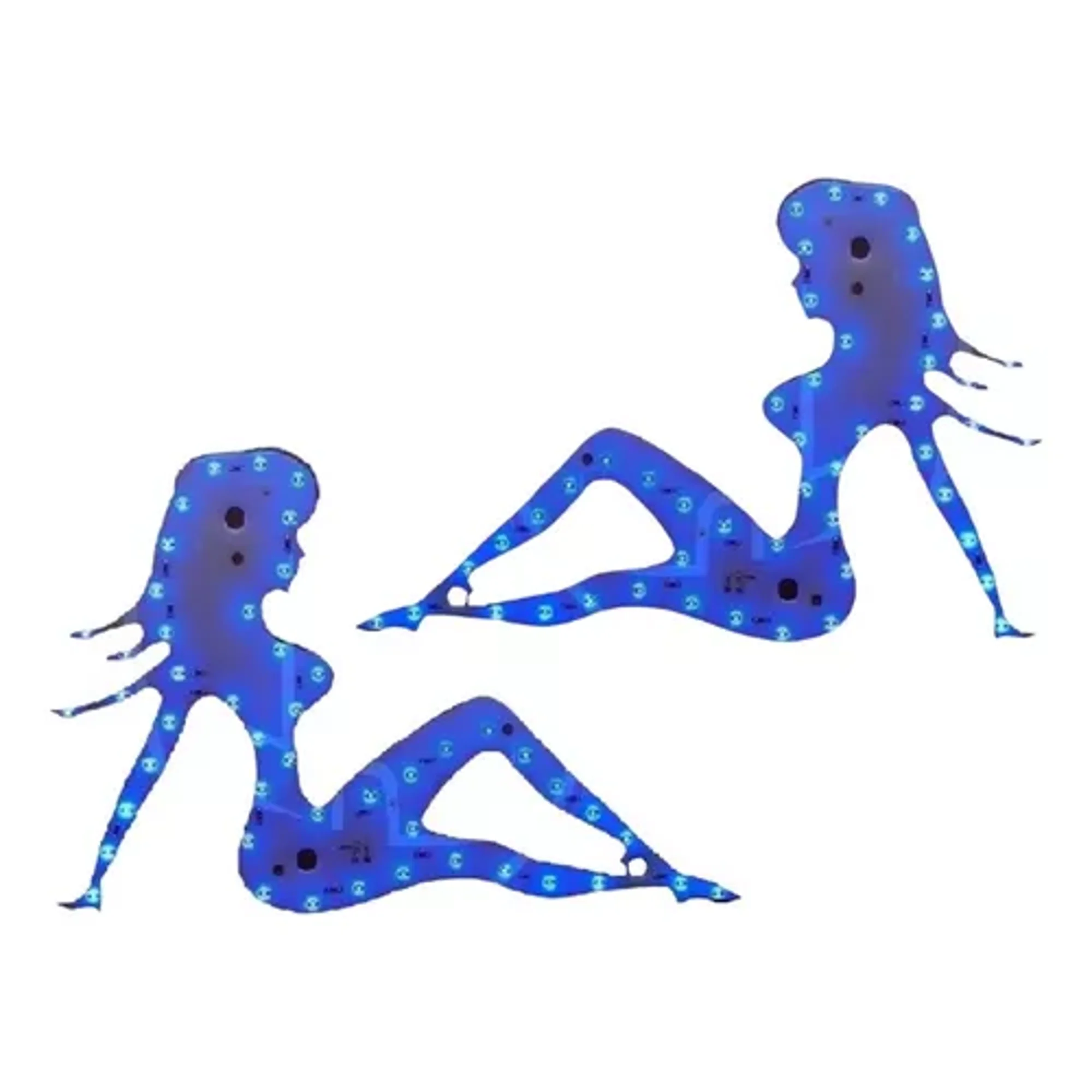 Genérico - Par De Led Chica De Camion Silueta De Mujer Leds 24v Azul