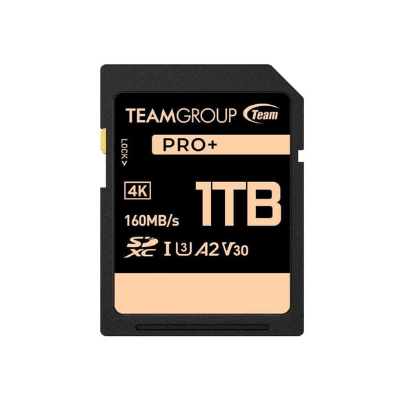 Teamgroup PRO+ SDXC U3 V30 A2 1TB