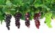 thumbnail image 5 of Uvas artificiales caiyjhao 2 piezas, 36 cápsulas, 5 of 6