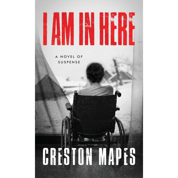 Libro I Am In Here (Tapa dura) – Rooftop Press