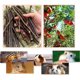 thumbnail image 3 of Palitos de Manzana William Craft 100 g 15 cm para Mascotas Pequeñas, 3 of 6