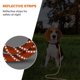 thumbnail image 5 of Correa larga de nailon reflectante para adiestramiento canino, ideal para pasear y acampar., 5 of 5