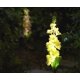 thumbnail image 3 of Flor Orquídea Delphinium Decorativa Luz Led para Exteriores, 3 of 3