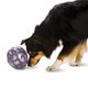 thumbnail image 1 of Juguete para perros PetSafe Busy Buddy Kibble Nibble Slow Feeder, 1 of 6