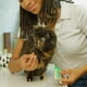 thumbnail image 2 of Inaba Snack Suplemento Para Gato Churu Bites Cat Treat 30g verde, 2 of 10